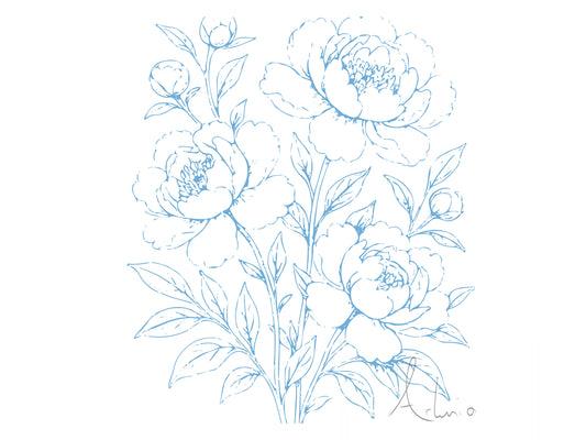 Peonies ©